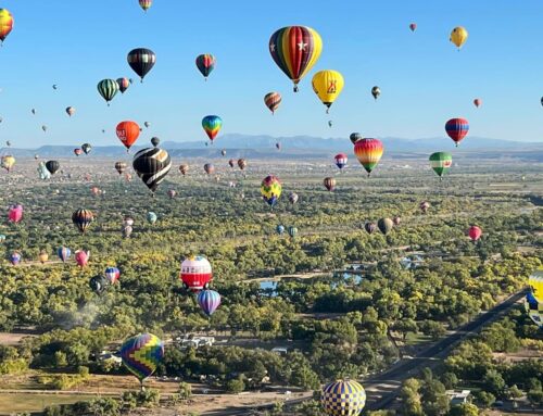 Balloon Fiesta Inspiration