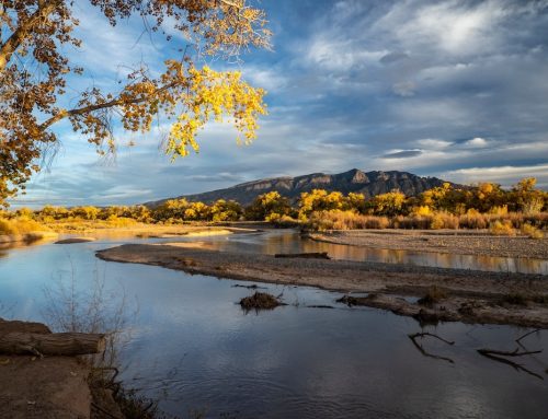 Hidden Gems Around Albuquerque, NM